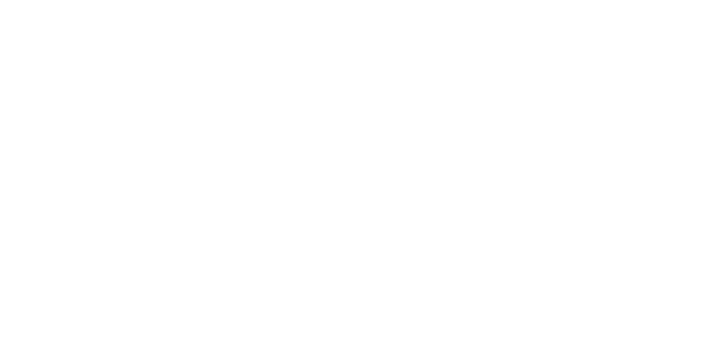 DojoConnect Logo